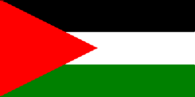 علم الثورة العربية - بعد التعديل - بعد ترتيب الألوان