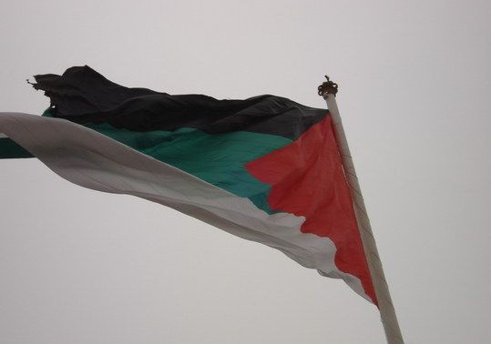 علم الثورة العربية - الأول (صورة حقيقية )