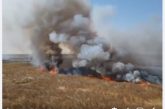 العدو الايراني يحرق المحاصيل الزراعية للمزارعين الاحوازيين