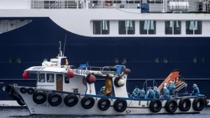 US and French Nationals Test Positive for Hantavirus After Leaving Ship